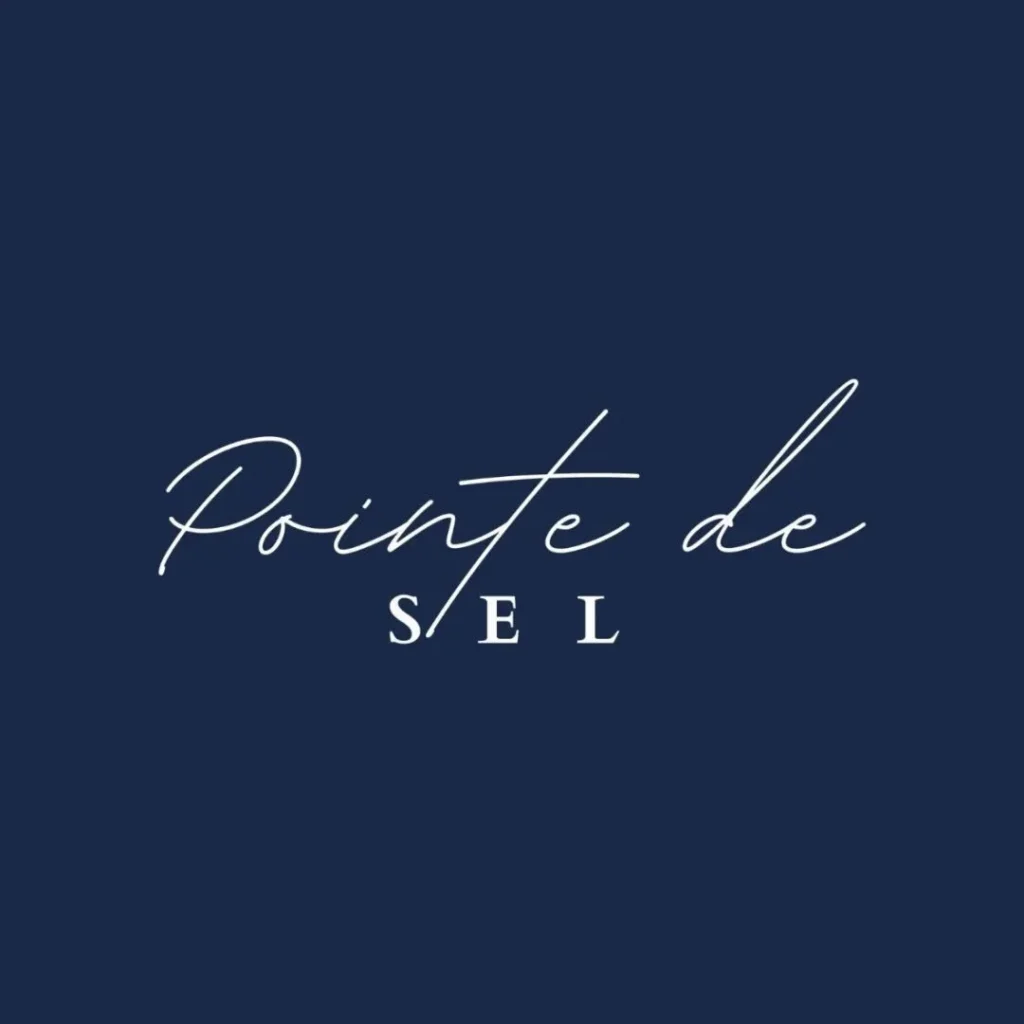 Logo avec le texte 'Pointé de SEL' en couleur blanc sur un fond bleu foncé.