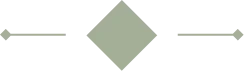 Symbole géométrique avec un losange au centre et deux flèches pointant vers l'extérieur de chaque côté.