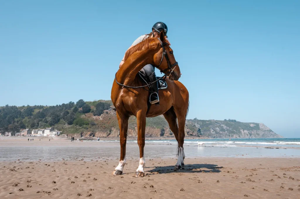 Un cheval et une cavalière sur une plage. La cavalière porte un casque noir, un t-shirt à rayures, et est inclinée en avant sur le cheval. La plage a des peupliers et des maisons en arrière-plan, avec la mer et des falaises au loin.