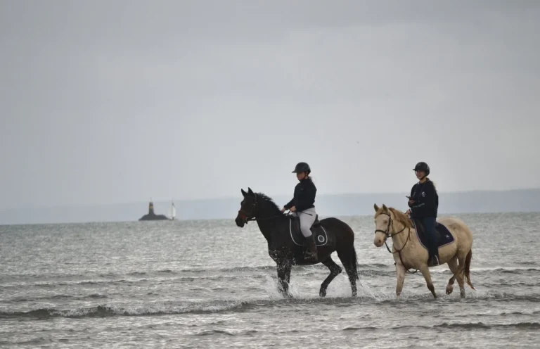 Balades à cheval en Bretagne : réservez votre expérience au départ du Manoir La Ville Durand