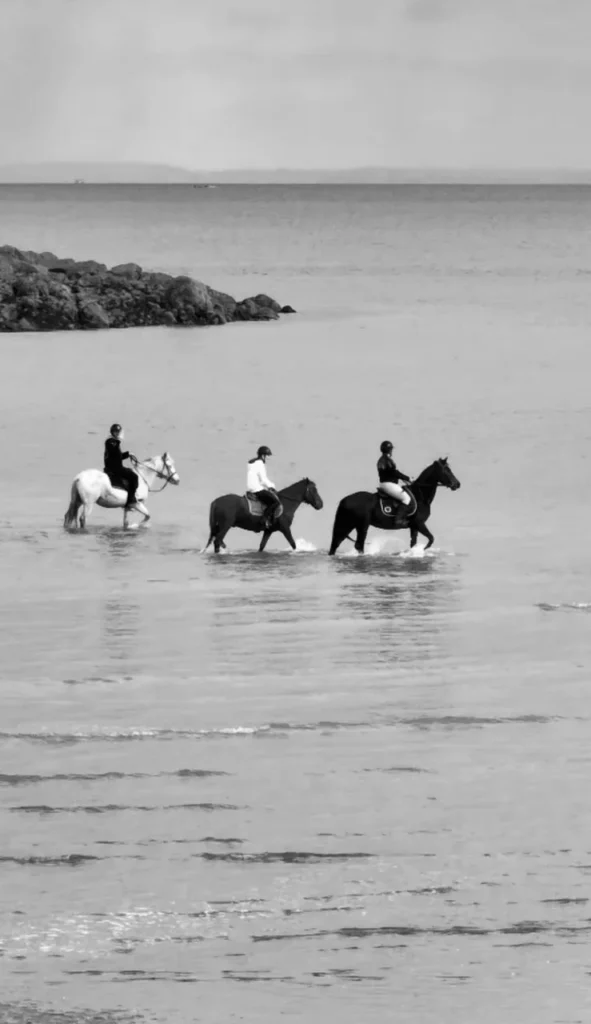 Quatre personnes à cheval marchent dans l'eau de la mer, avec un fond de rochers et un ciel nuageux