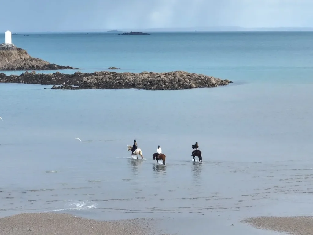 Nouveau : Offrez-vous une balade à cheval accompagnée par notre monitrice diplômée.